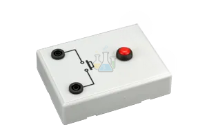 Button Based